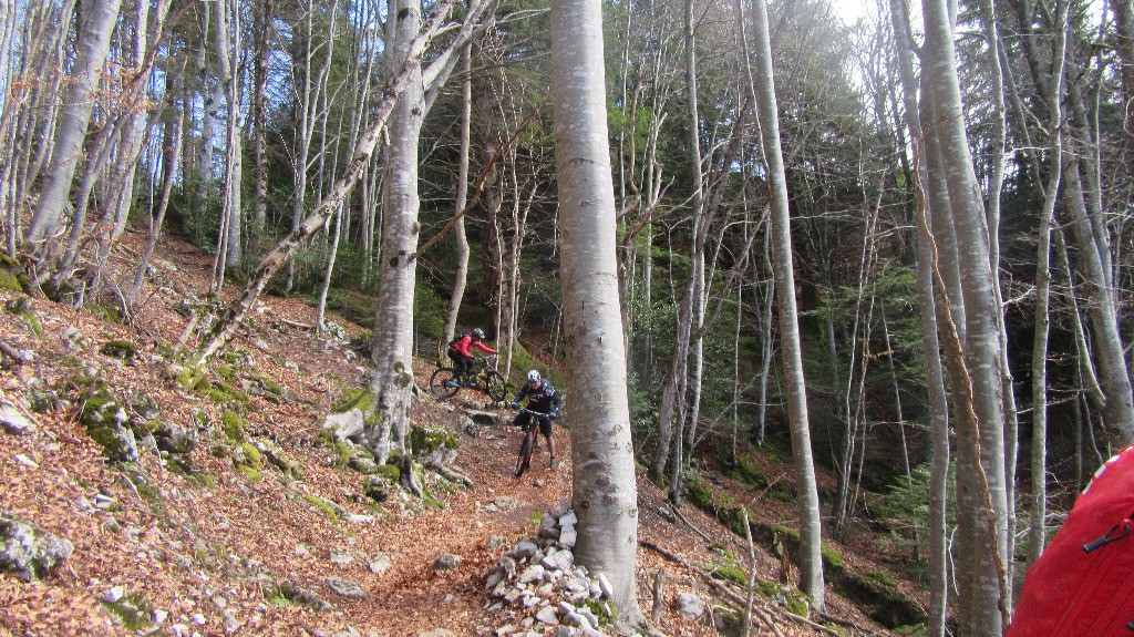 #15 Sophie engage dans les épingles sous la bifurcation du sentier qui mène aux Contrebandiers Sophie engage dans les épingles sous la bifurcation du sentier qui mène aux Contrebandiers