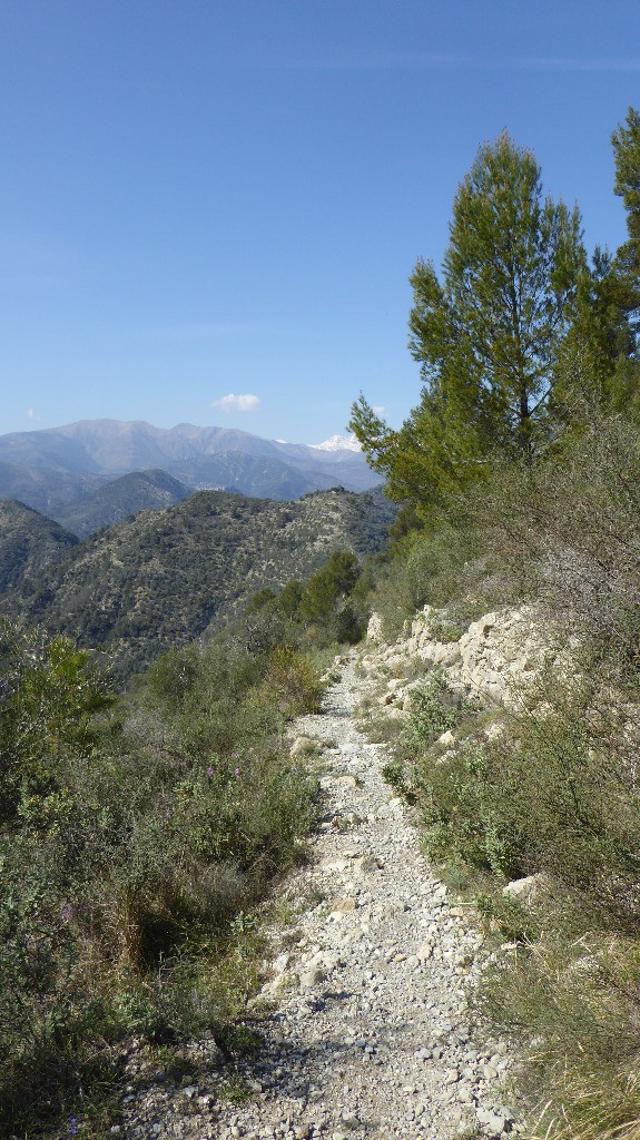 #26 Un régal Un régal