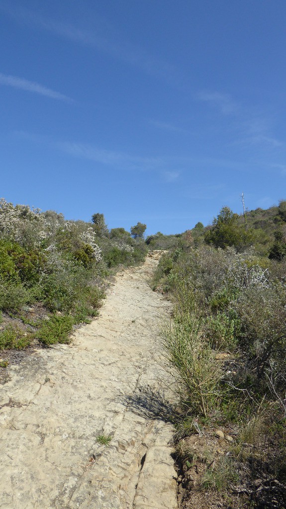 #18 Petit fourvoyage Petit fourvoyage