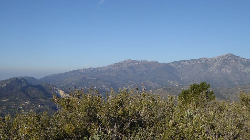 #4 Le Grammondo Le Grammondo