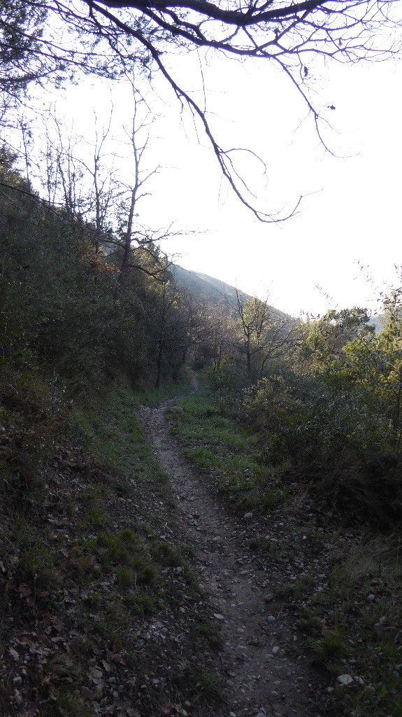 #10 Quel bijou Quel bijou