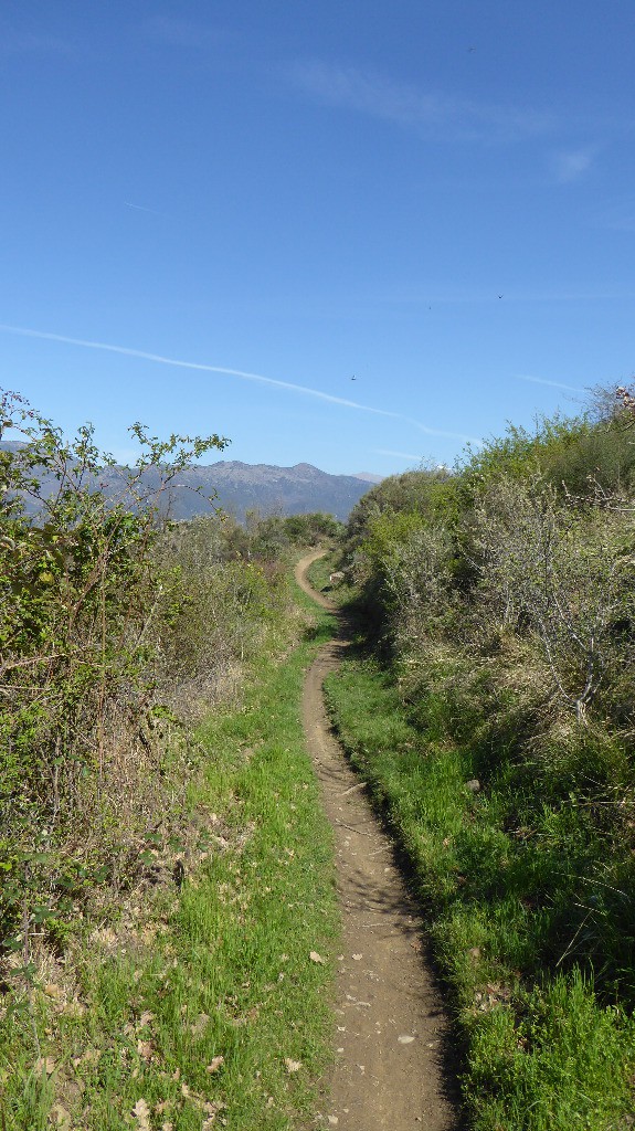 #17 Départ SP1, ça commence bien Départ SP1, ça commence bien