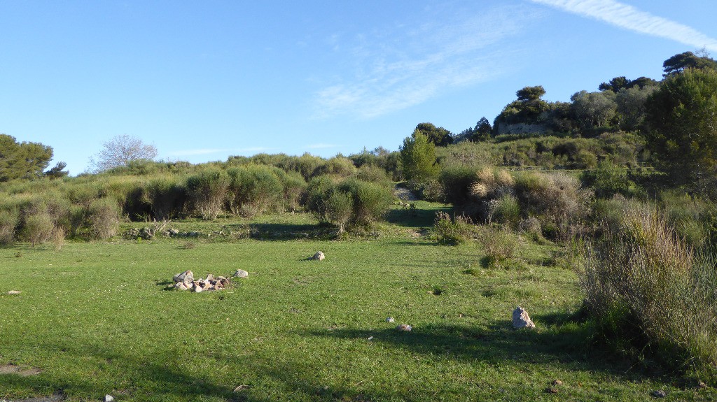 #8 Superbe prairie Superbe prairie