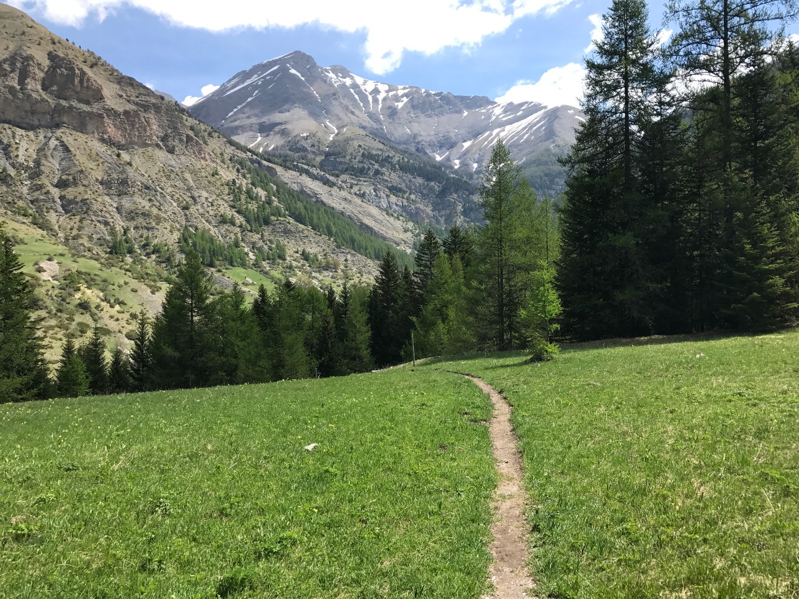 #9 Le beau single qui va bien traversant les prés face au Mont Pelat Le beau single qui va bien traversant les prés face au Mont Pelat