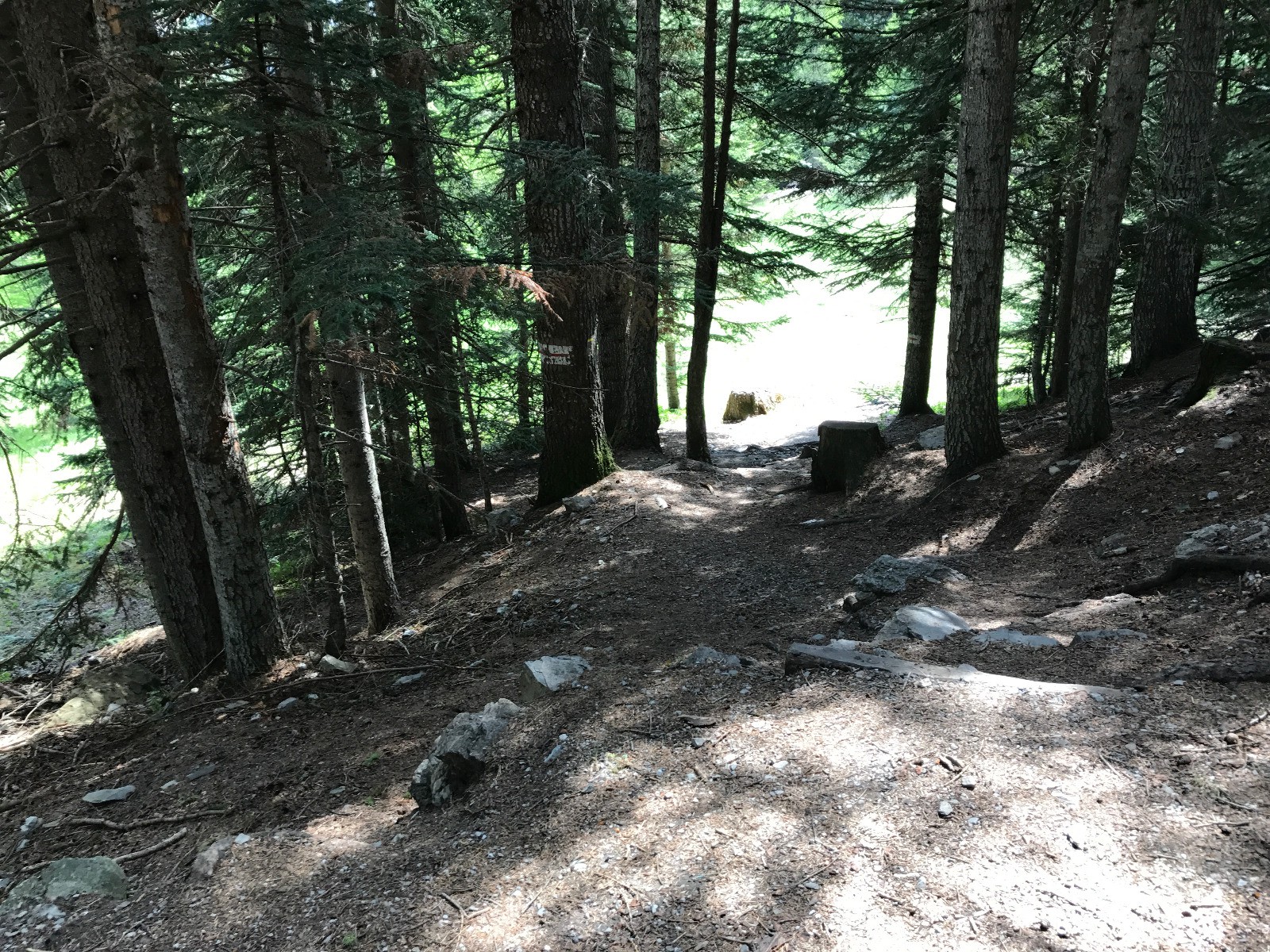 #8 Marches à franchir Marches à franchir