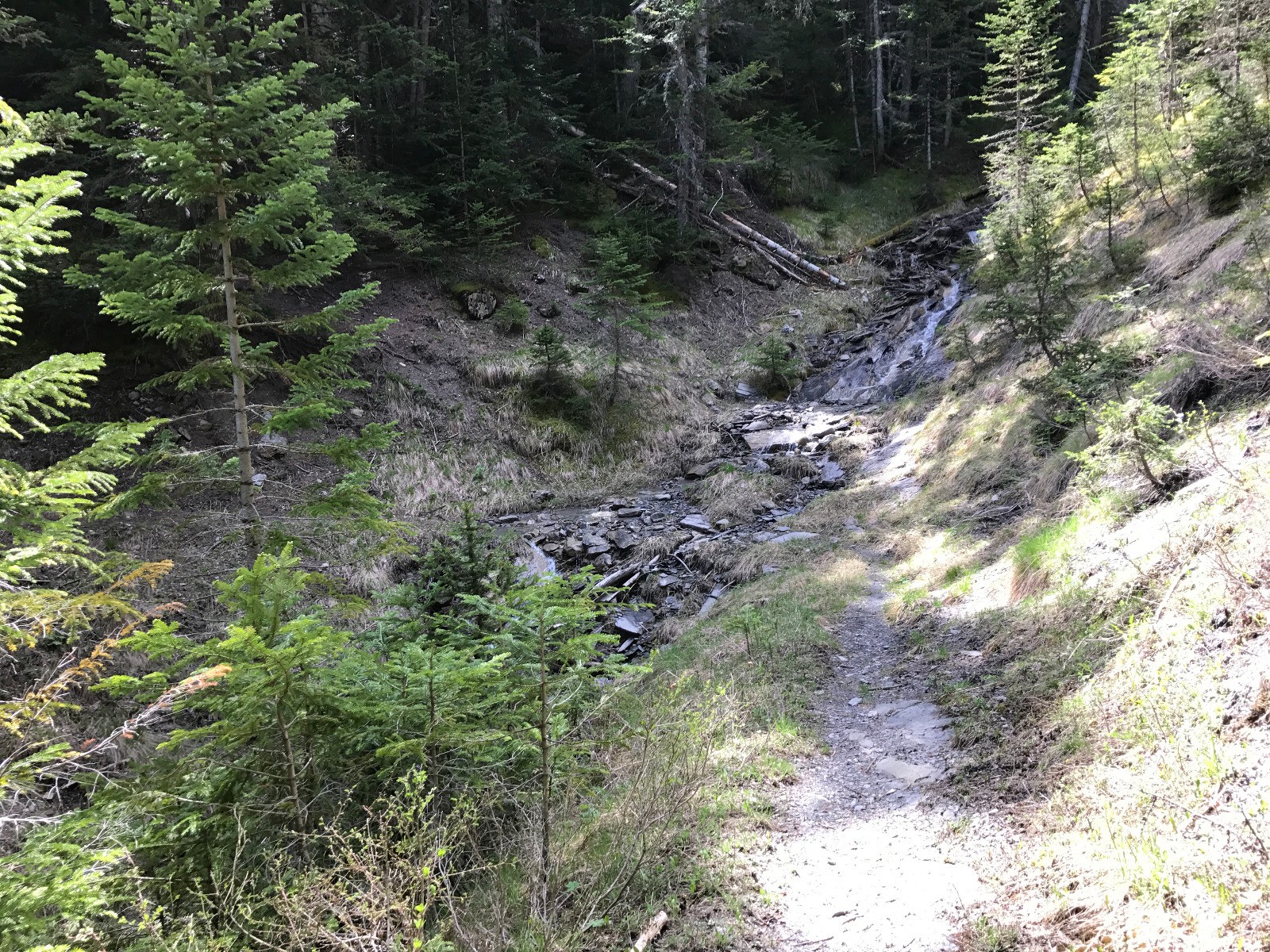 #4 Franchissement Franchissement