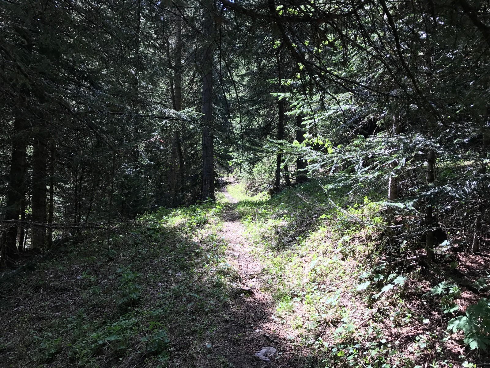 #3 Passage en mode single Passage en mode single