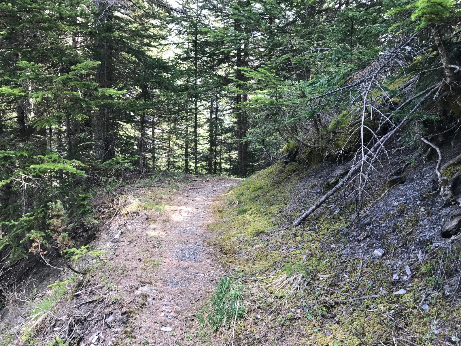 #6 Single bien propre pour un début de saison Single bien propre pour un début de saison