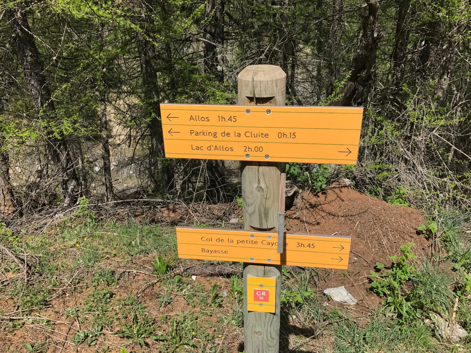 #14 On récupère le GR 56 On récupère le GR 56