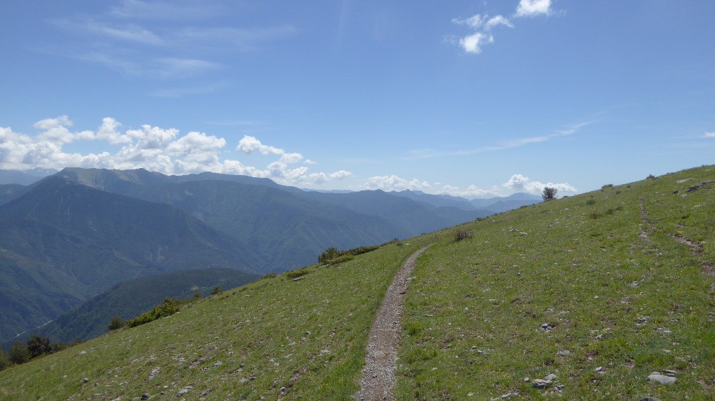 Sentier descendant au Col des Fourches