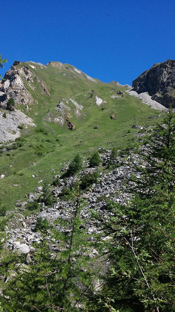 Partie haute de la descente du Val sapin