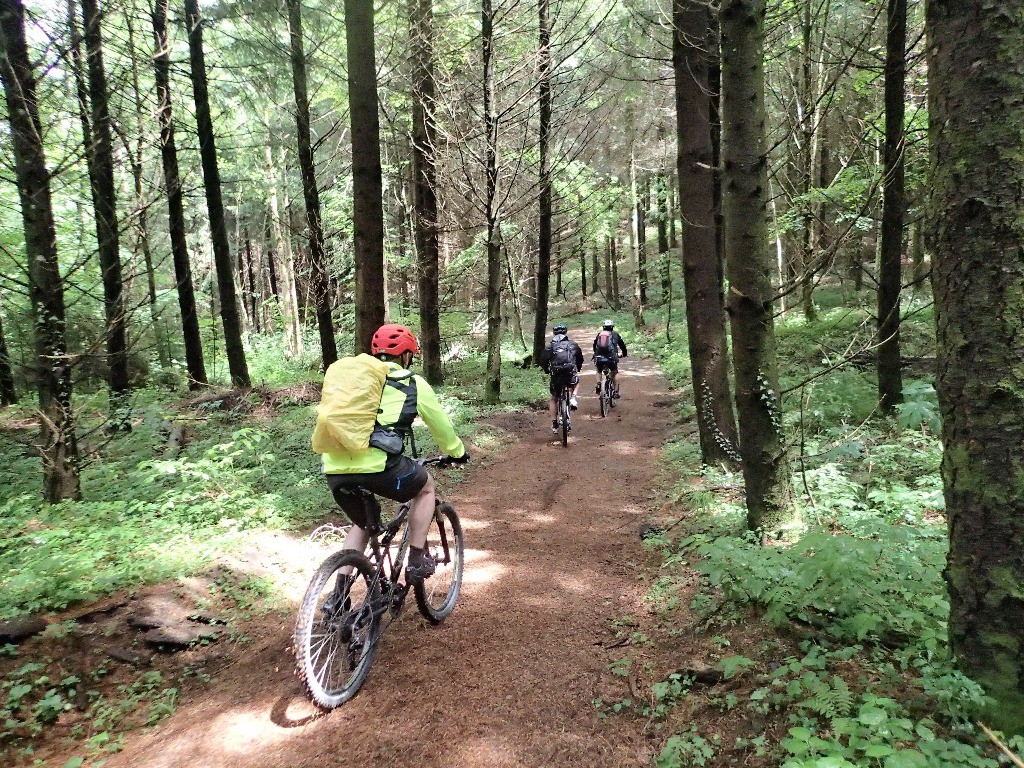 #9 Début tranquille de la plongée vers Vizille... Début tranquille de la plongée vers Vizille...