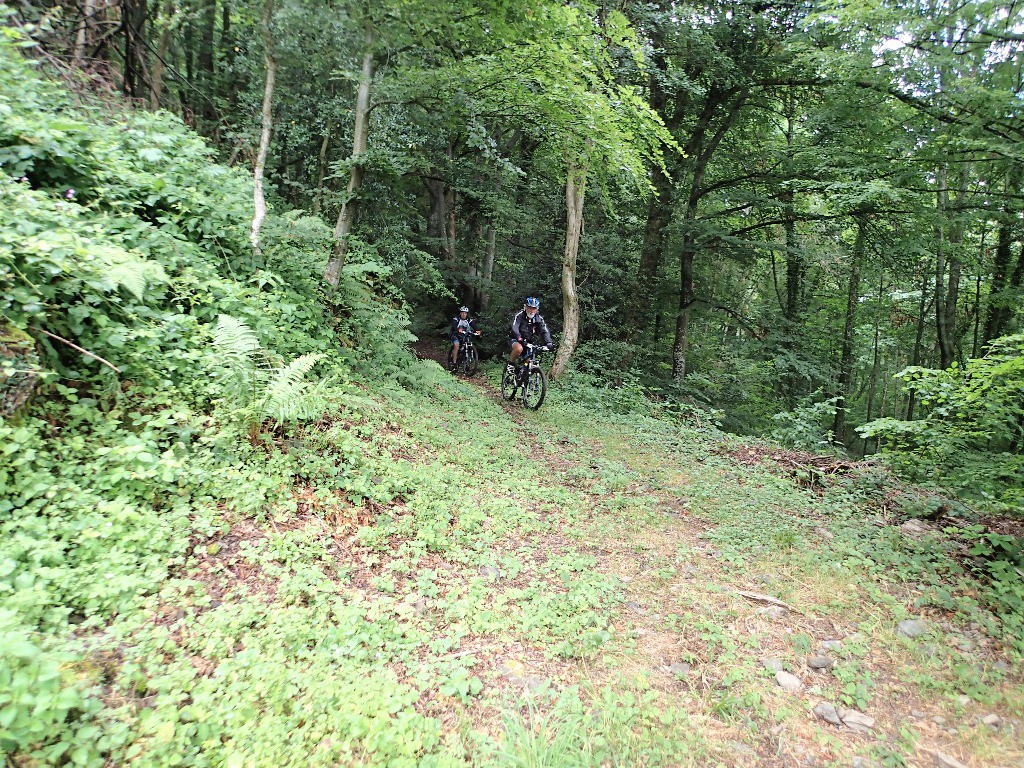 #10 On sort des bois vers la Frette... On sort des bois vers la Frette...