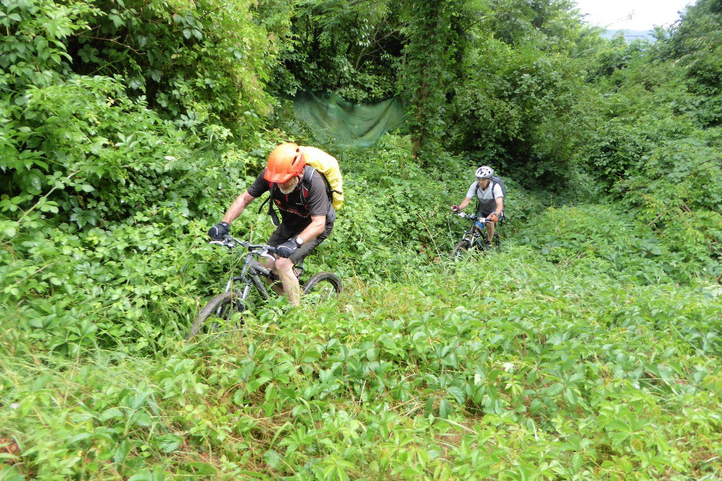 #16 En plus on se mouille avec la végétation ! En plus on se mouille avec la végétation !