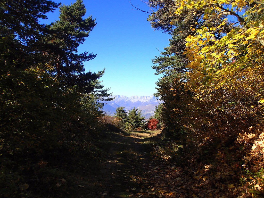 #2 No comment No comment