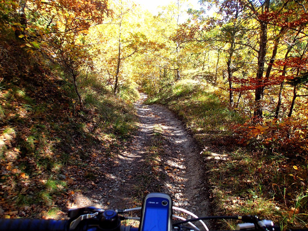 #7 Photo "impressioniste" ! Photo "impressioniste" !