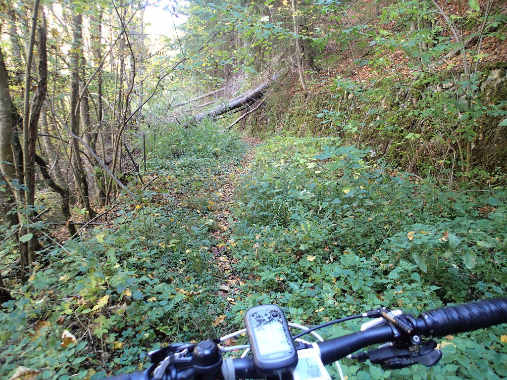 #10 Y Y'aurait un peu de nettoyage à faire, mais ça passe bien ...