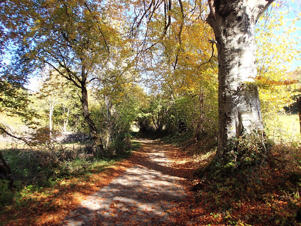 #12 En pente douce depuis la gare de la Motte ! En pente douce depuis la gare de la Motte !