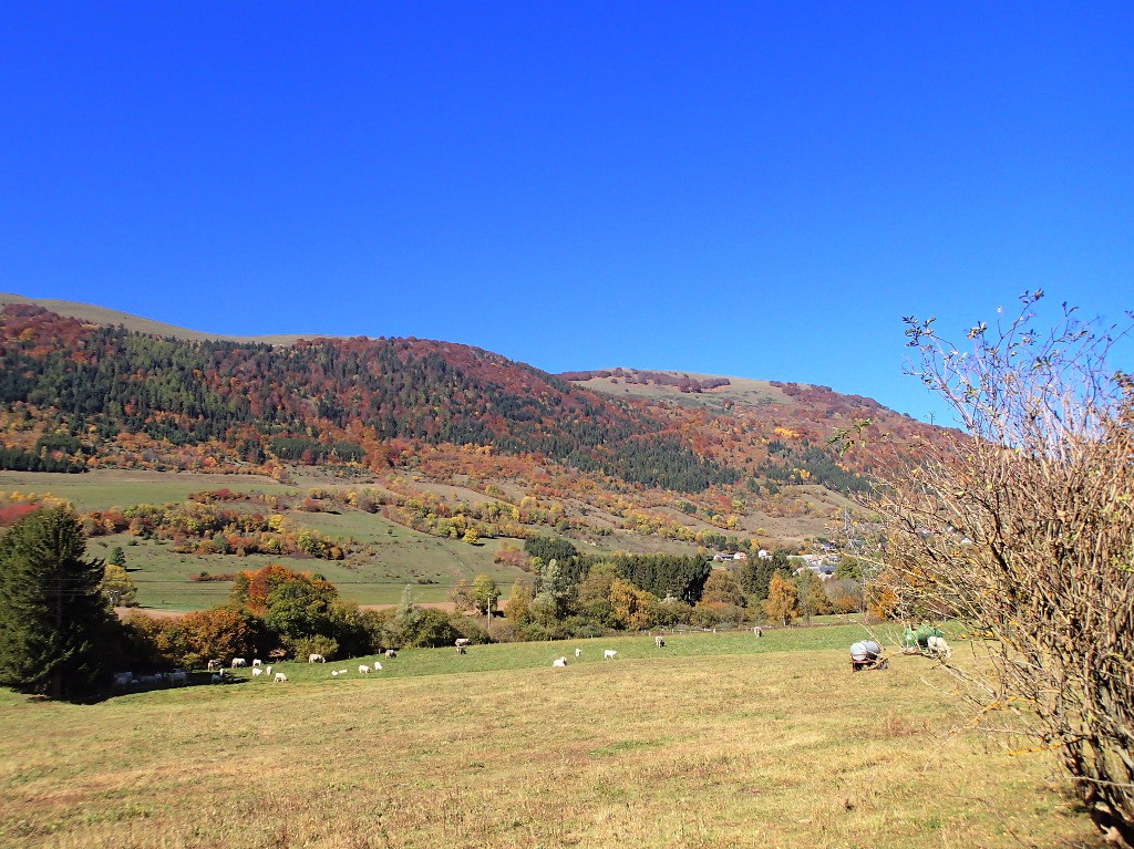 #11 No comment... No comment...