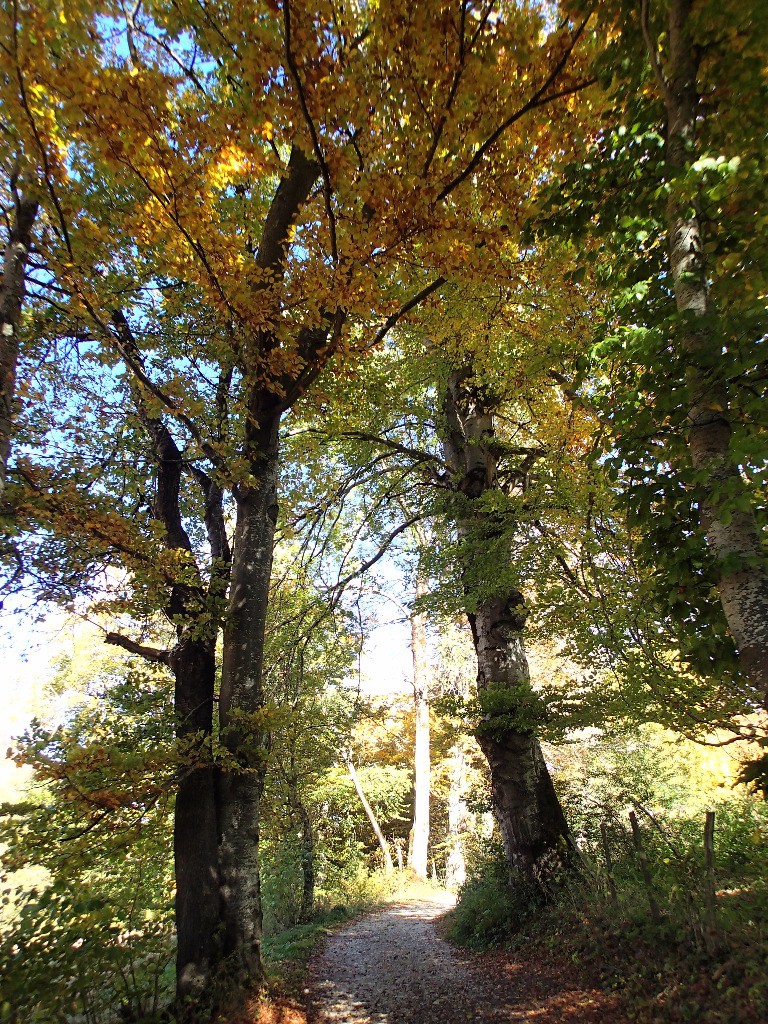 #13 No comment... No comment...