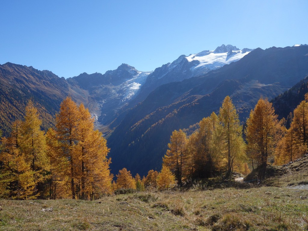 Glacier et Plateau du Trient.