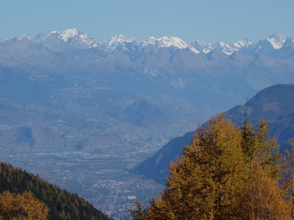 Vallée suisse et ses gros sommets au fond !