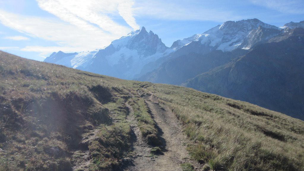 Classique , la Meige au bout du sentier