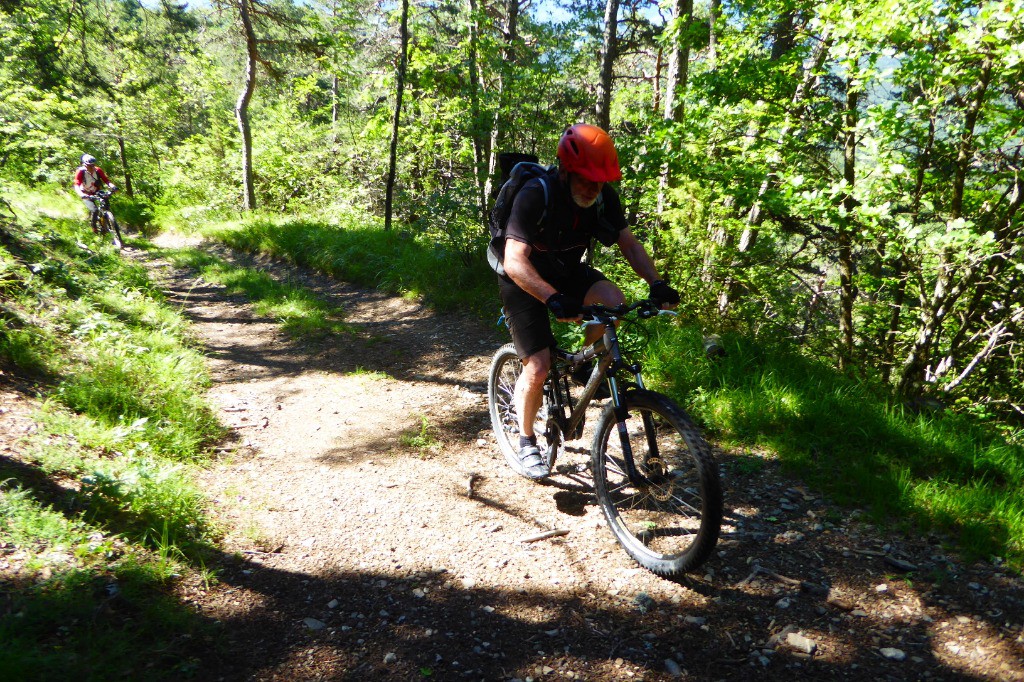 JPôl sort de la forêt.