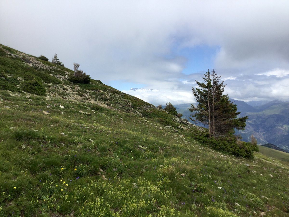 #12 Oisans beau ? Oisans beau ?