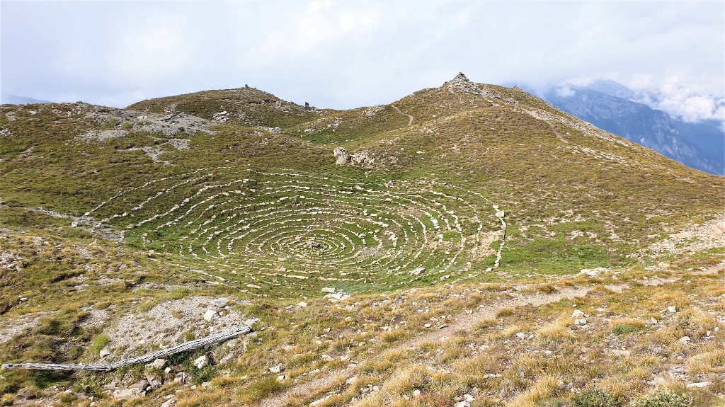 #8 Tête de Jacquette Tête de Jacquette