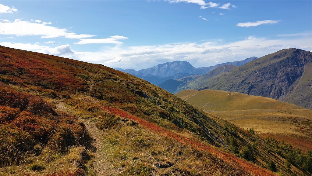 Les couleurs d’automne qui arrivent...