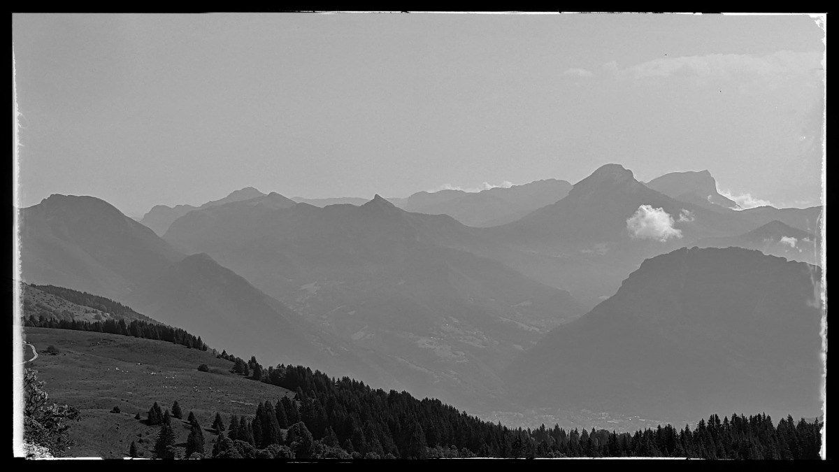 #4 Chartreuse Chartreuse