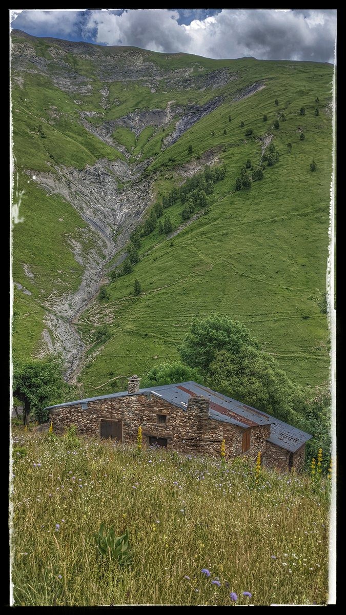 #22 habitat local habitat local