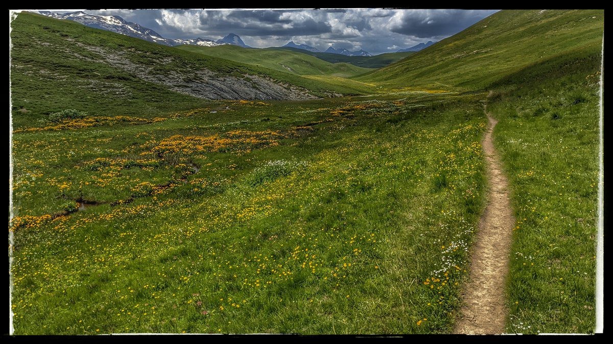 #18 petites fleurs petites fleurs