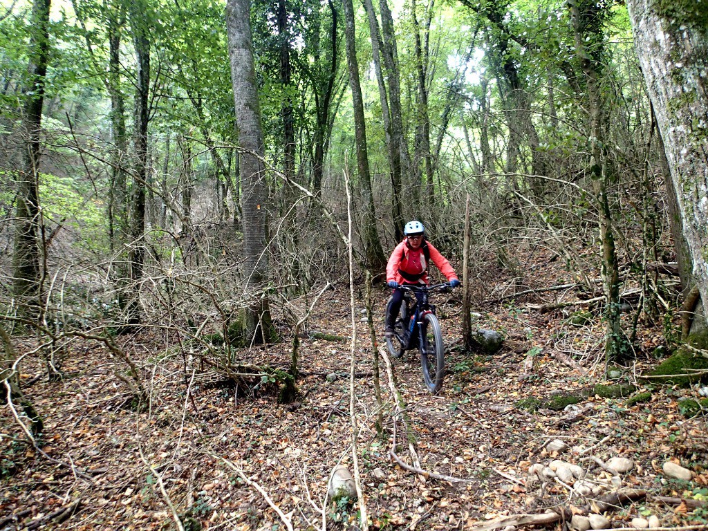 #8 Bon, c Bon, c'est pas tout, on n'est pas là pour acheter du terrain !