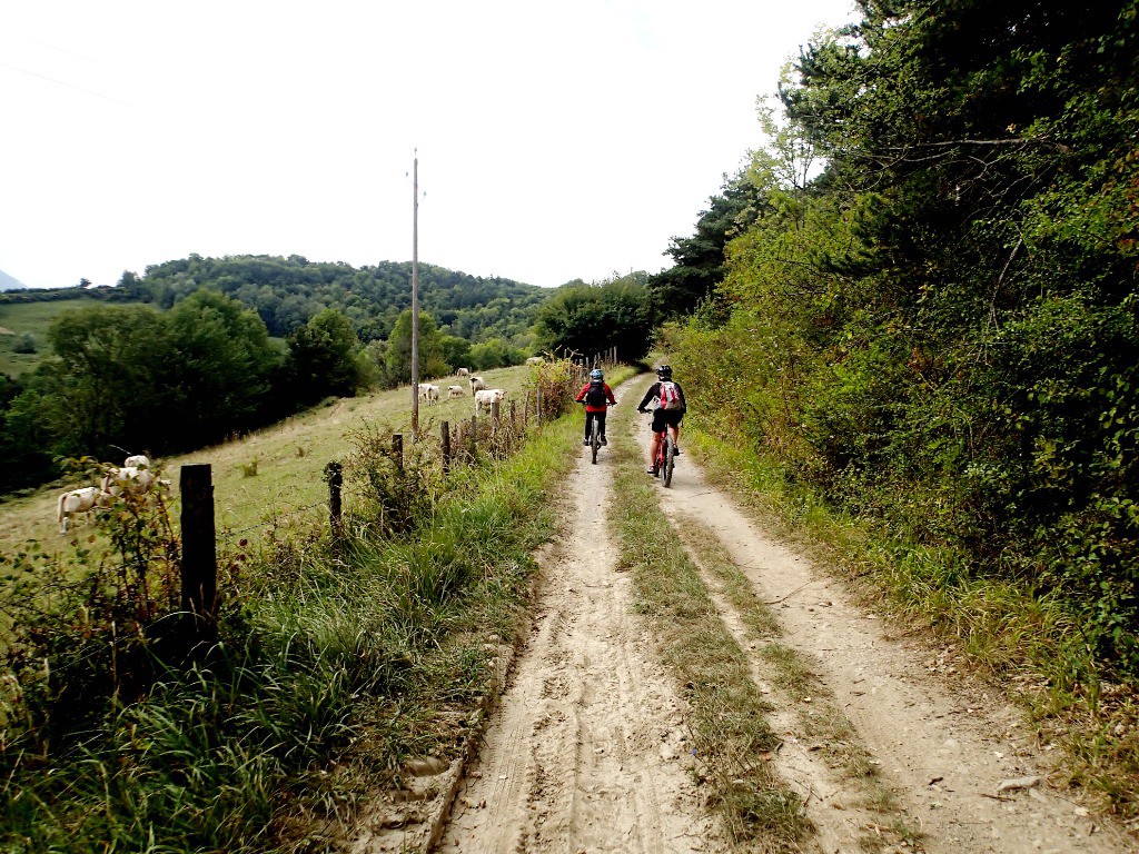 #2 Passage meuhmeuh ... Passage meuhmeuh ...