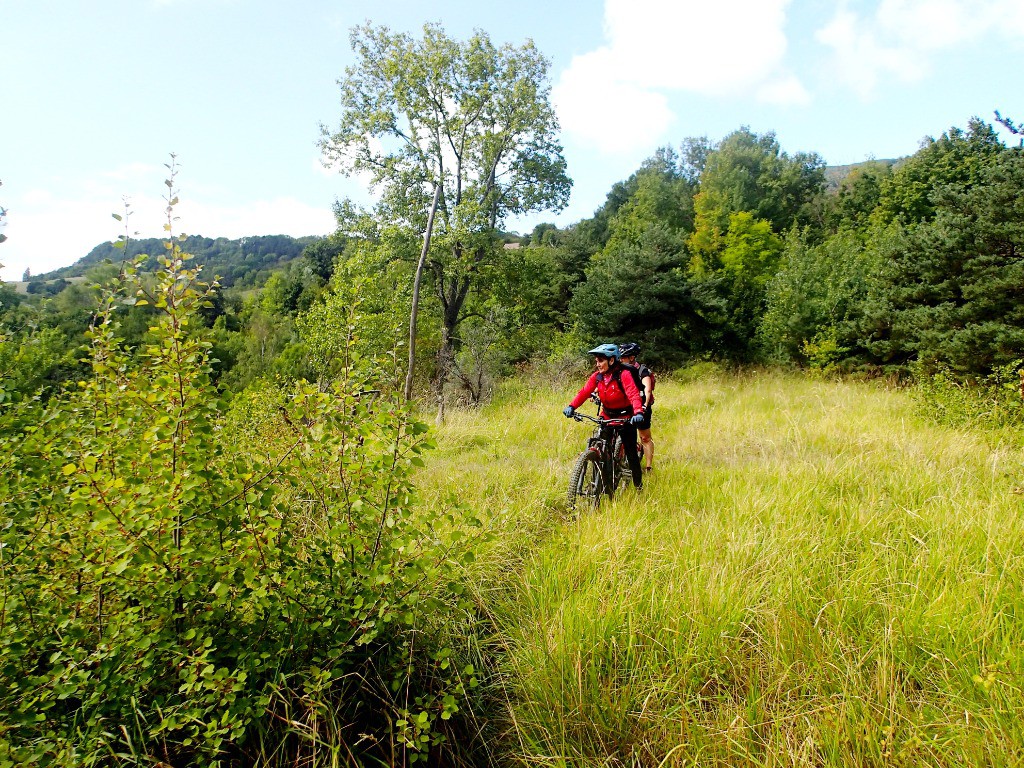 #6 On arrive à la salle à manger... On arrive à la salle à manger...