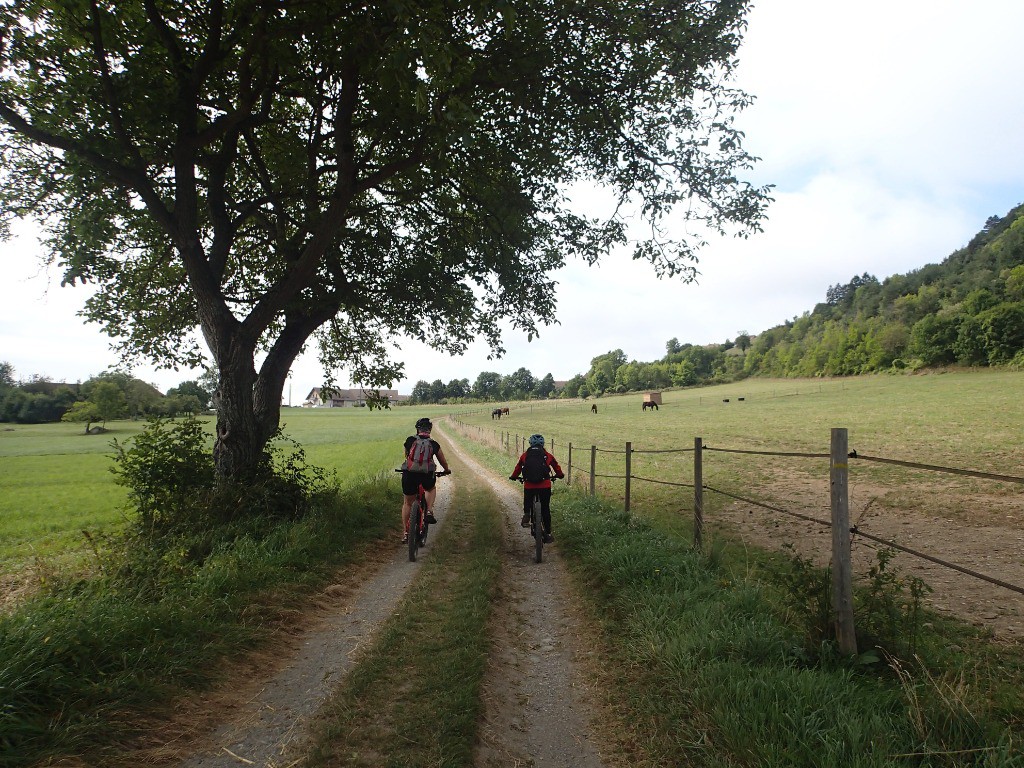 #3 ... et chevaux ... ... et chevaux ...