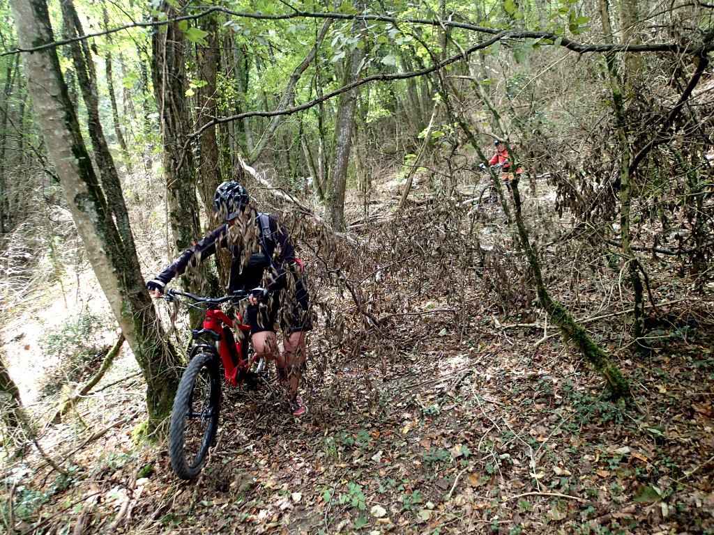 #9 Un peu de jardinage ça réveille ! Un peu de jardinage ça réveille !