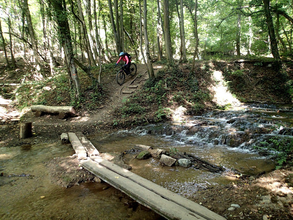 #15 Le ruisseau des Chaussières
Le ruisseau des Chaussières