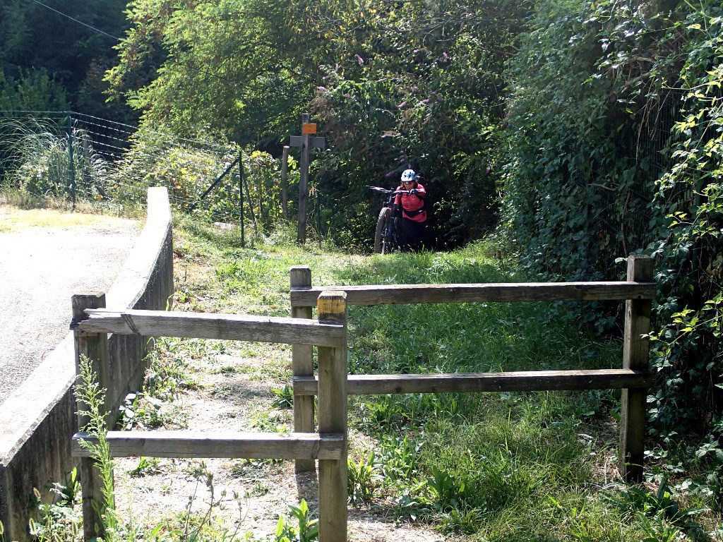 #17 Fin des hostilités ! Fin des hostilités !