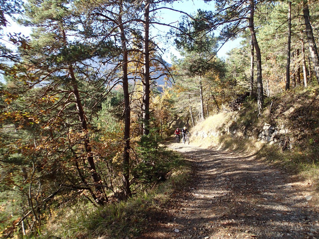 #5 Direction St Martin de Clelles... Direction St Martin de Clelles...