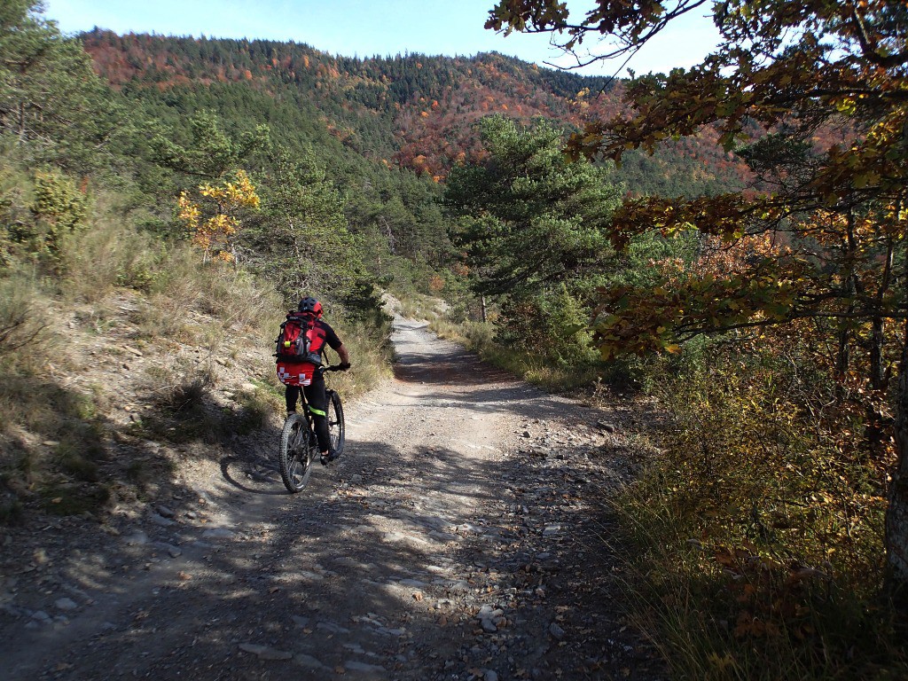 Remontée vers le Ruisseau des Blaches