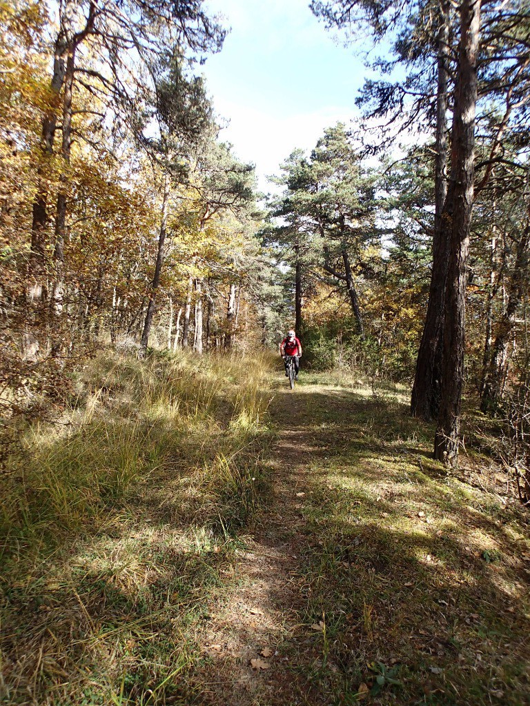 Sur le sentier de Parassat.