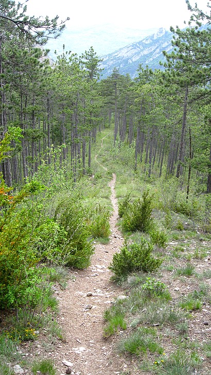 #7 Ligne droite : Ouvrez les gaz ! Ligne droite : Ouvrez les gaz !
