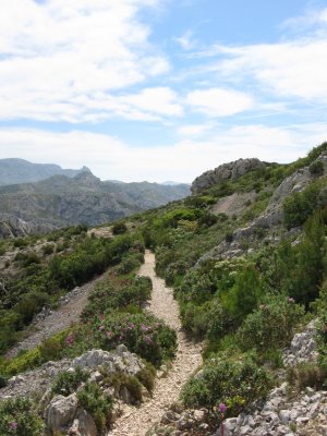 Montée Col de Cortiou : sentier typique des calanques