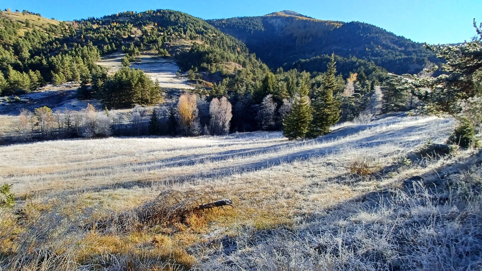 #1 Ça caille ! Ça caille !