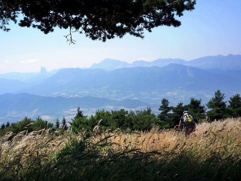 Crête de la Peyrouse : Un single génial avec vue sur le Monteynard et le Mont-Aiguille ! A faire !