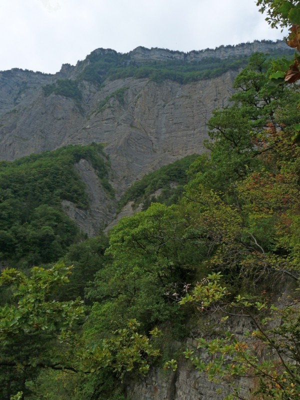 Falaise : Une partie de la falaise du Saint Eynard au dessus du ruisseau de Darguil