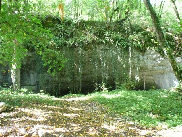 Grotte de la Baume Noire : repaire à Chauve souris